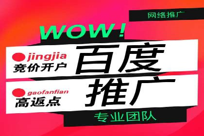 深度解析百度广告竞价：成功案例分享